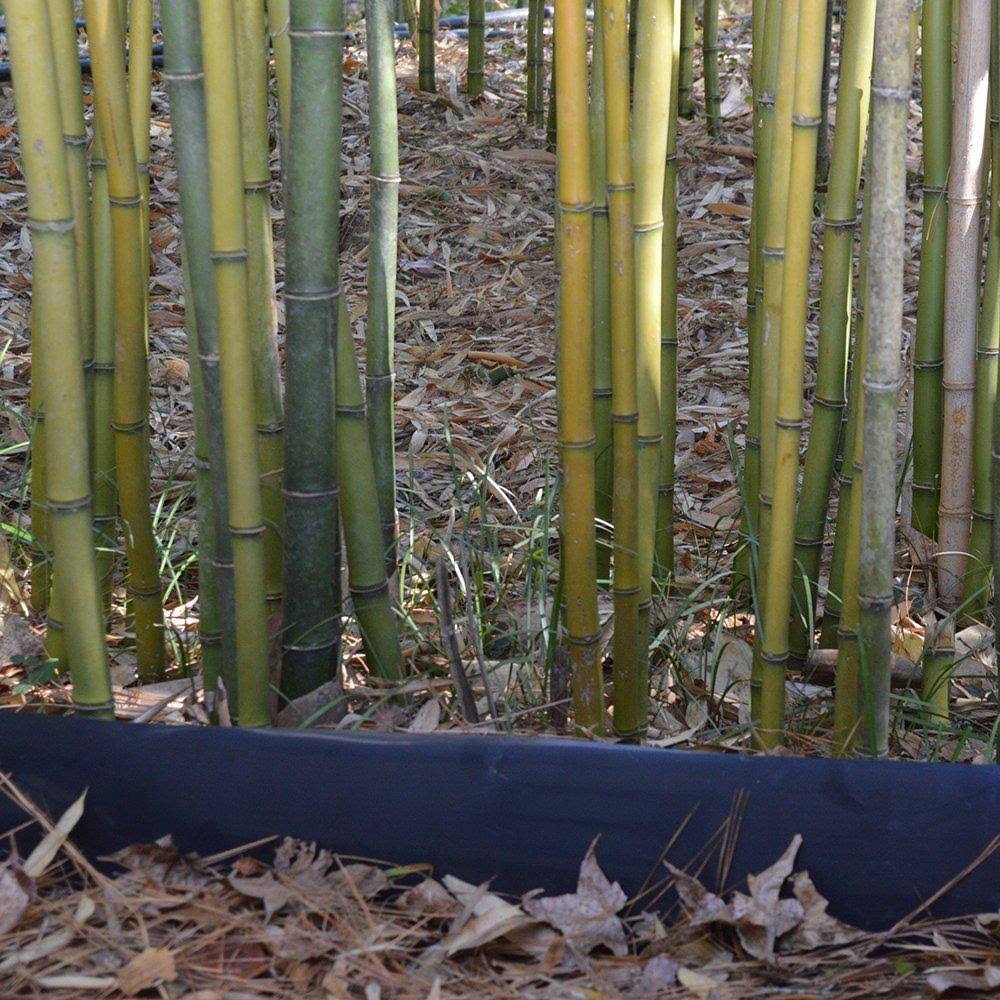 75 Feet Long x 24 inch x 60 Mil Bamboo Root Barrier W11057