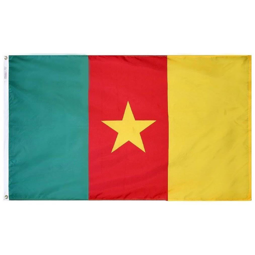 3x5 Nylon Flag G714