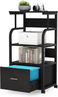 Mobile File Cabinet with Printer Shelf and Legal Size Drawer A3274