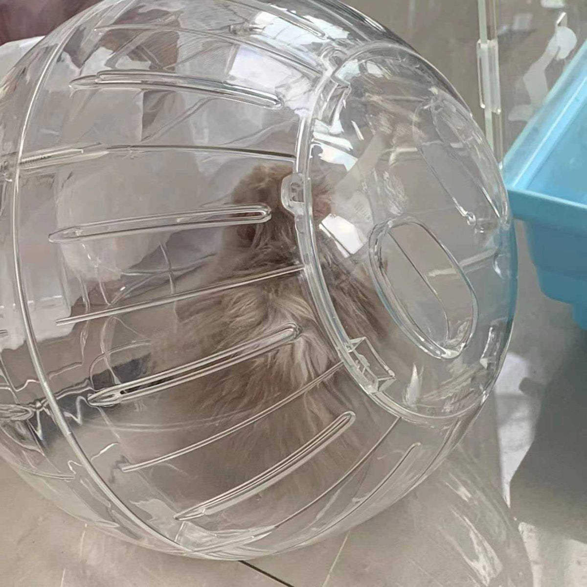 Hamster Exercise Ball Transparent R401