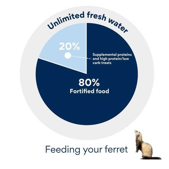 Ferret Food I590