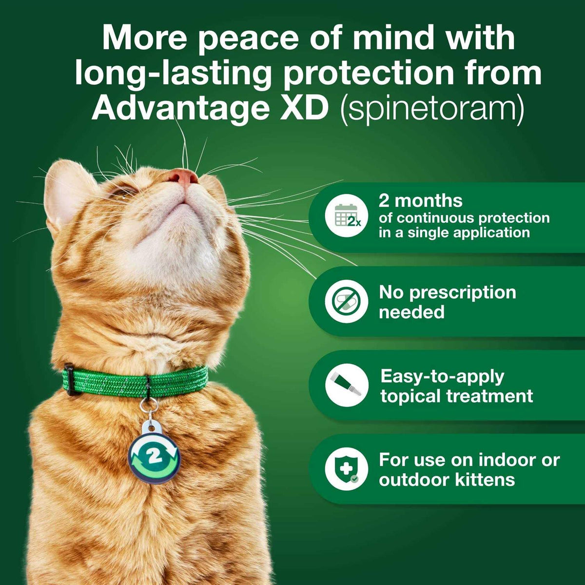 Cat Flea Prevention & Treatment I986991