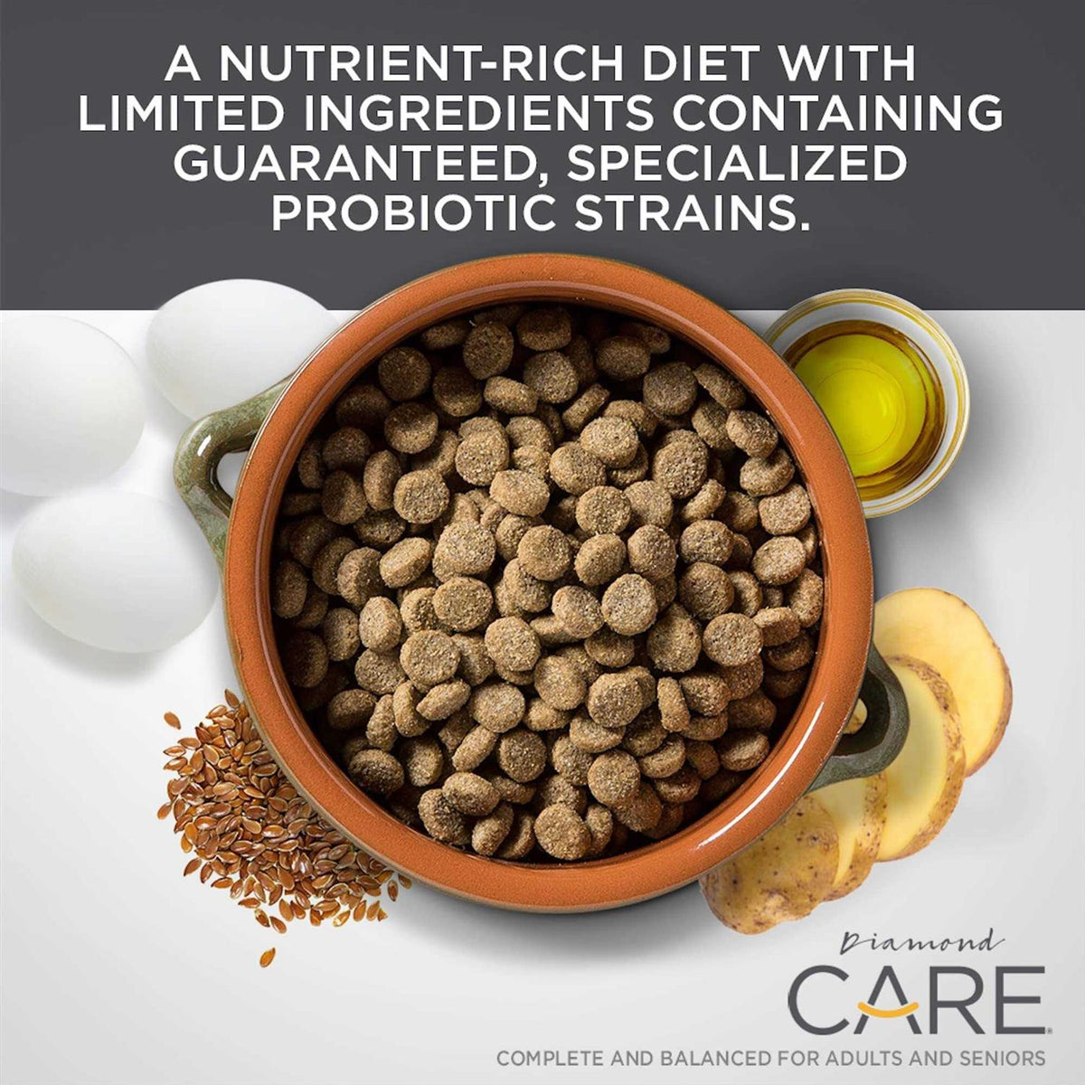 Sensitive Stomach Adult Dry Dog Food G42093