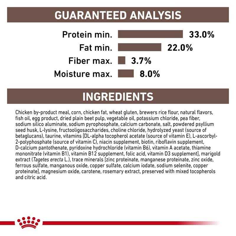 Kitten Dry Cat Food L43604