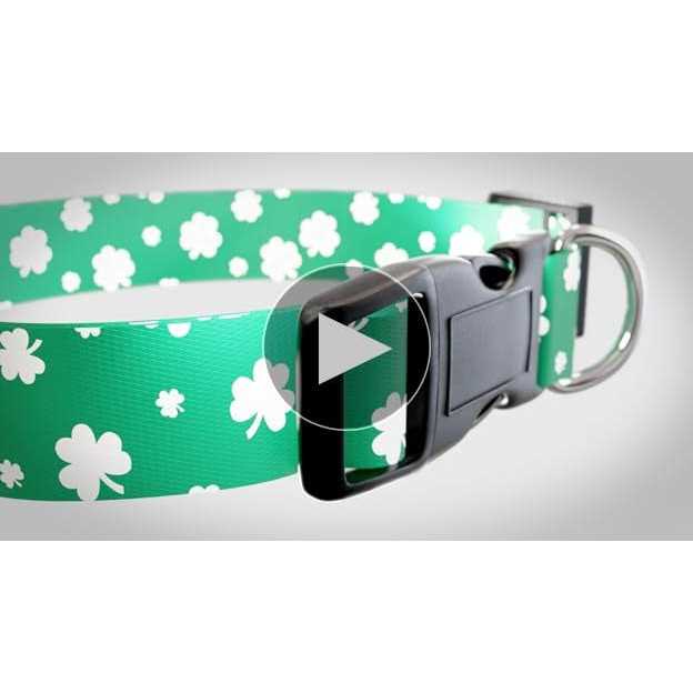 St Patricks Day Dog Collars V2304