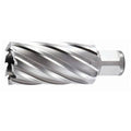 HSS Annular Cutter F379457