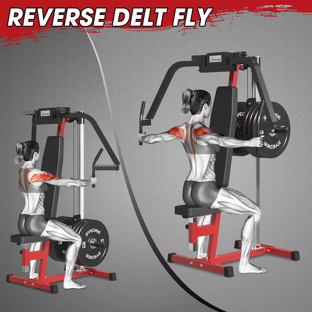 Chest Fly and Reverse Delt Machine 400 lbs K411