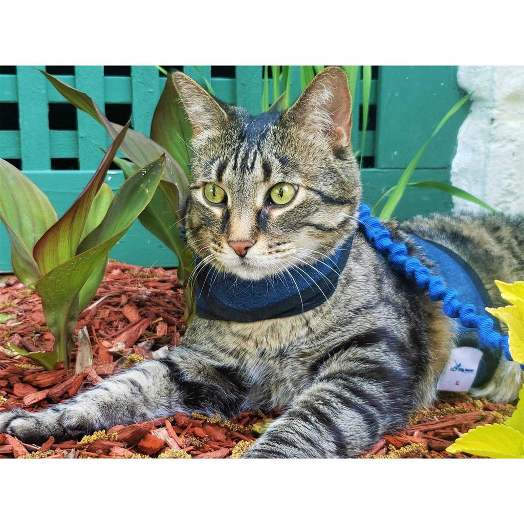 Cat Harness U414082