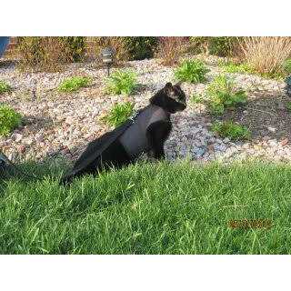 Cat Harness U414082