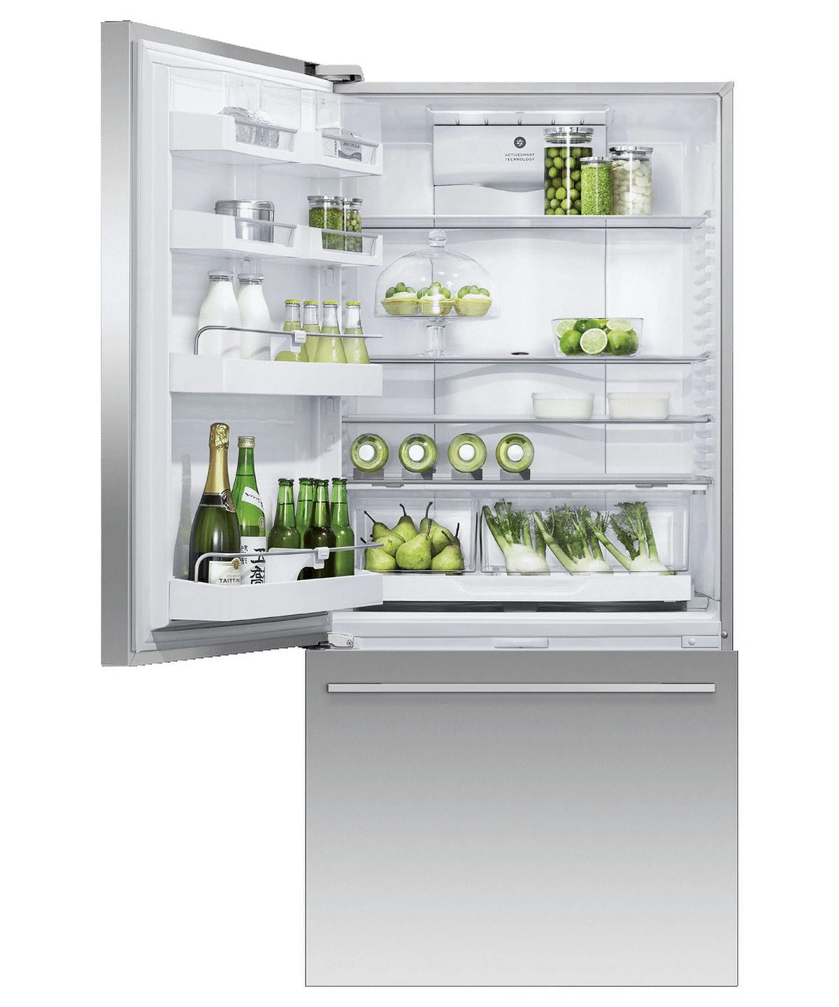 Bottom Freezer Freestanding Refrigerator Stainless Steel O5363