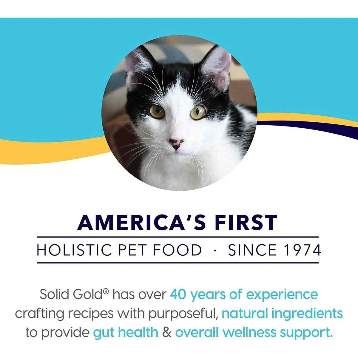 Solid Gold Indigo Moon Dry Cat Food W625923