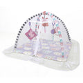 Blue Cat Activity Gym T536