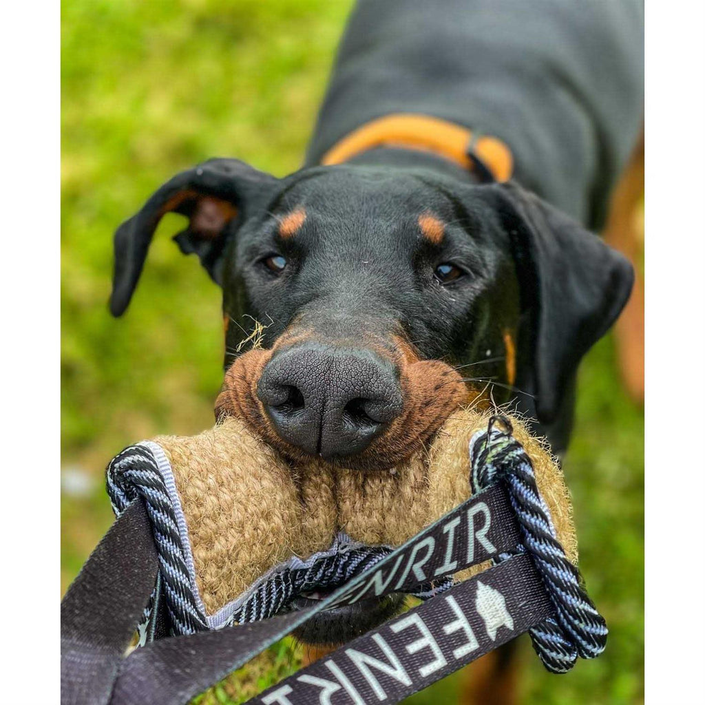 Jute Tug Toy H6255