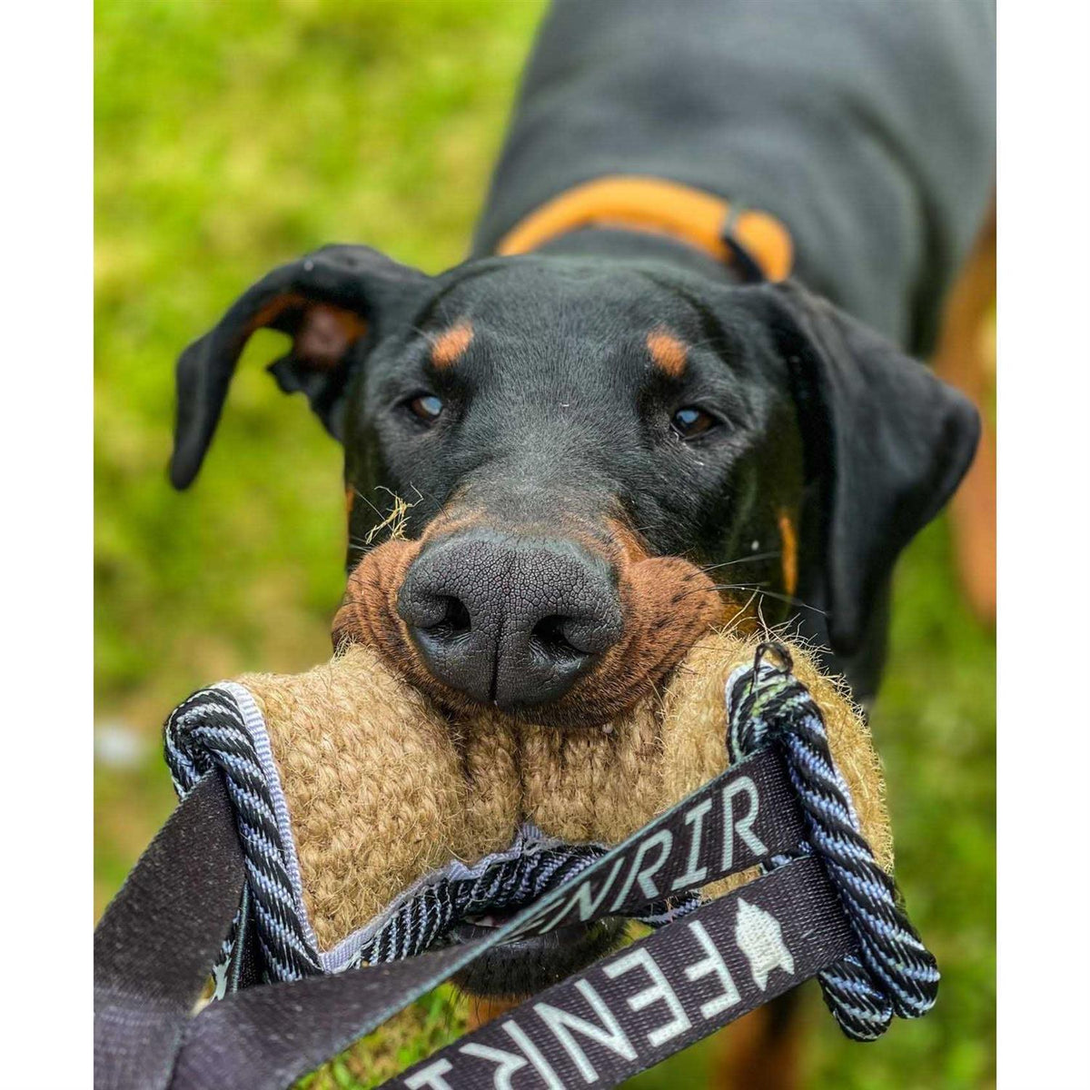Jute Tug Toy H6255